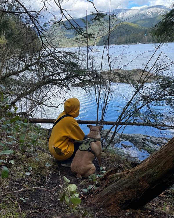 A happy dog cared for by Wander Paws, outdoors near the water